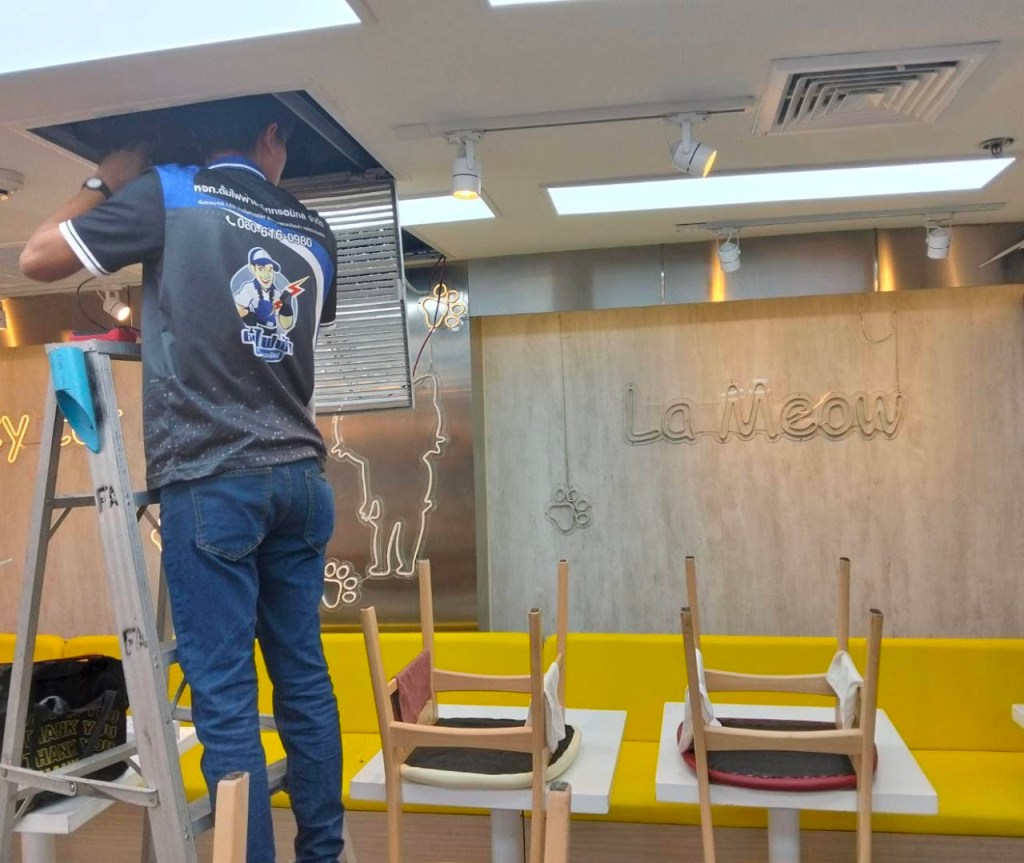 ช่างกำลังซ่อมแซมเครื่องปรับอากาศในร้านอาหารที่ชื่อ La Meow โดยมีเก้าอี้เรียงอยู่ตรงพื้นและกำลังขึ้นบันได